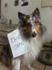 Cirrus plays, do you?