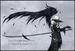 Volar's picture